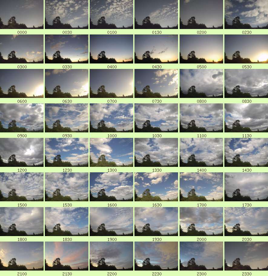 daycamsum