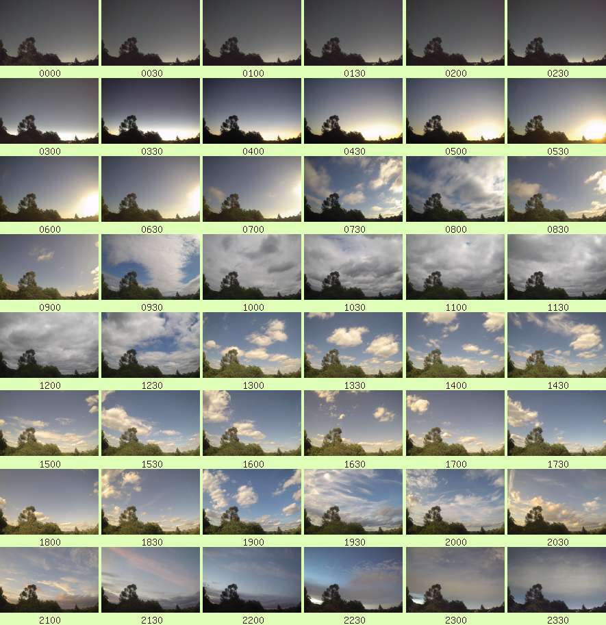 daycamsum