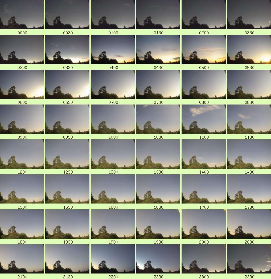 daycamsum