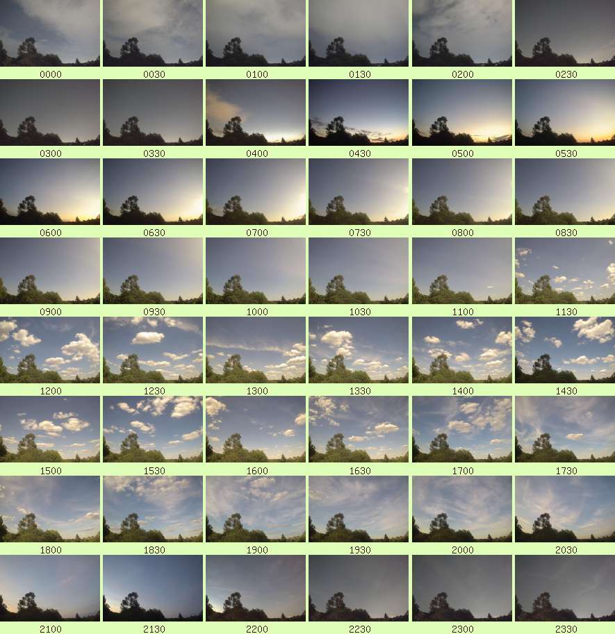 daycamsum