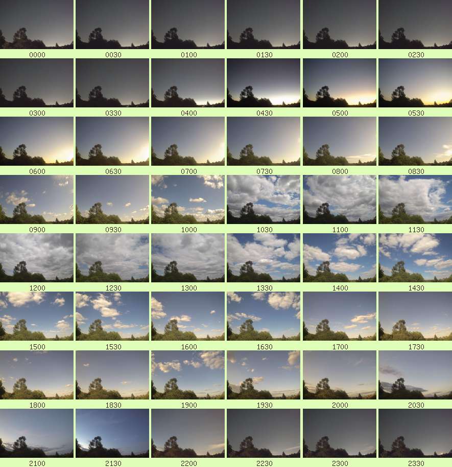 daycamsum