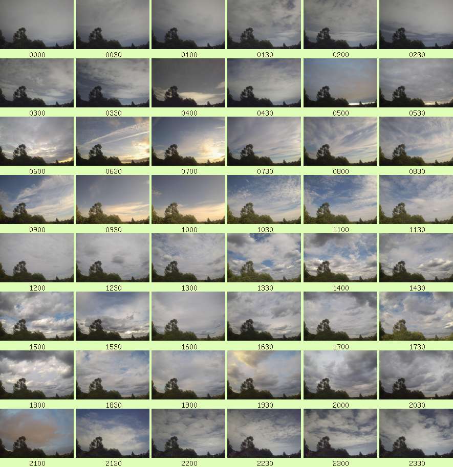 daycamsum