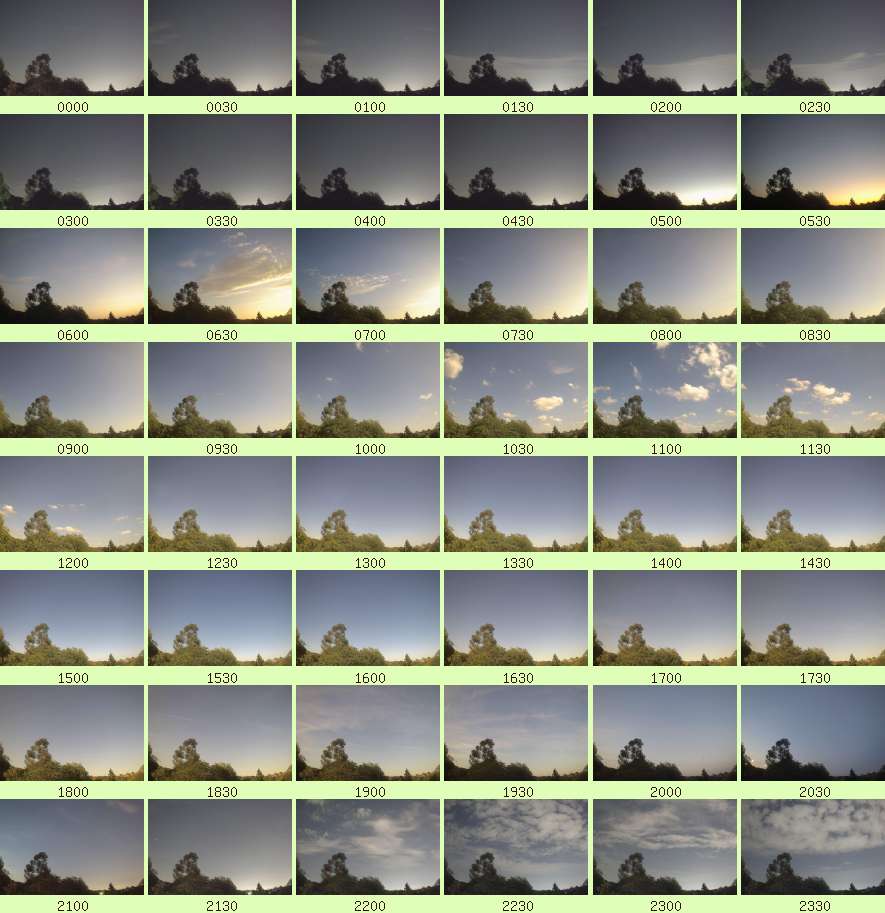 daycamsum