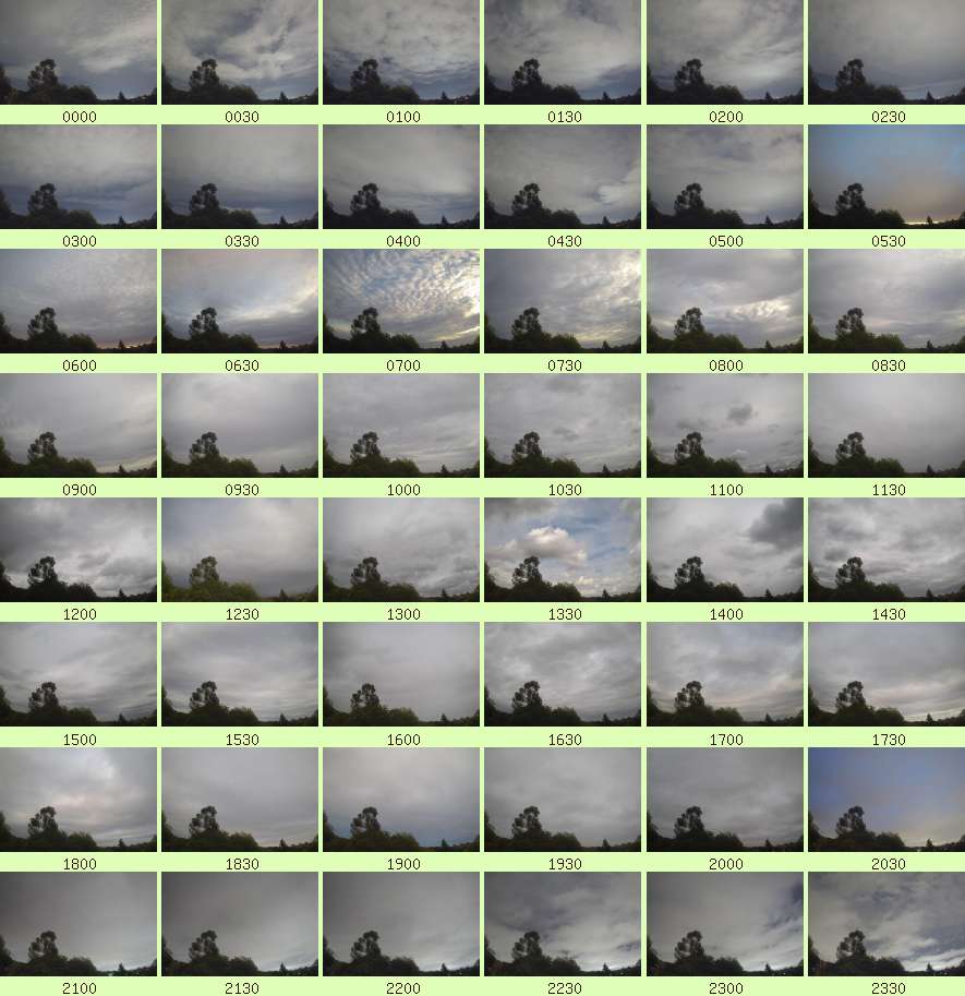 daycamsum