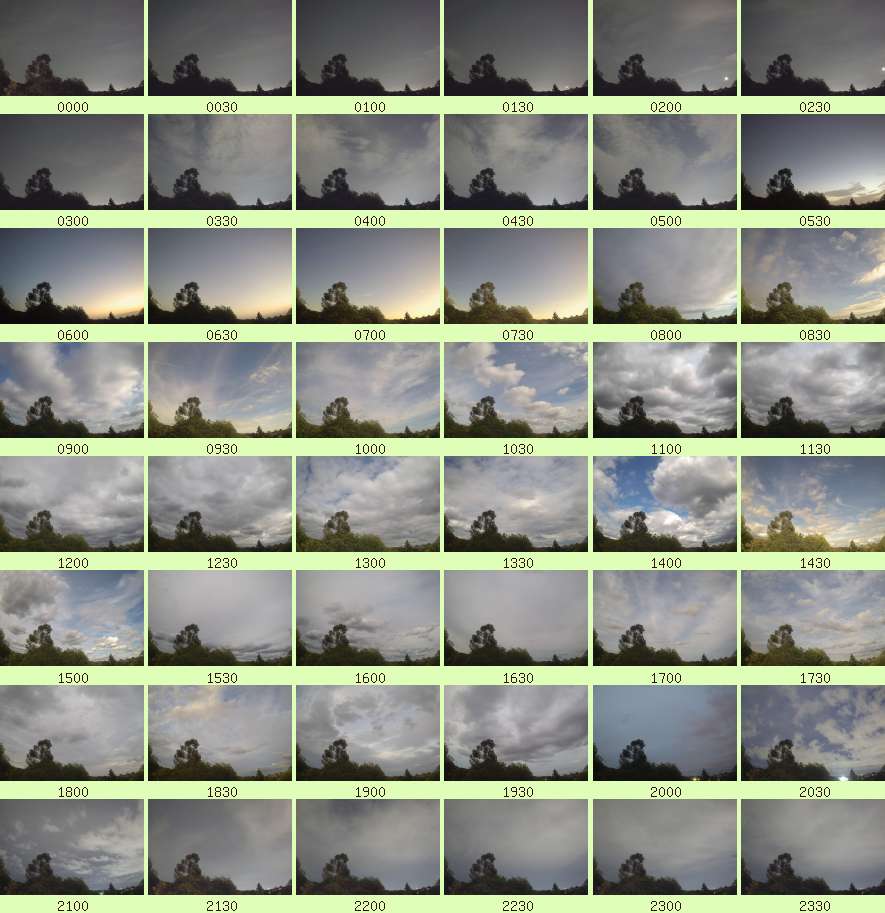 daycamsum