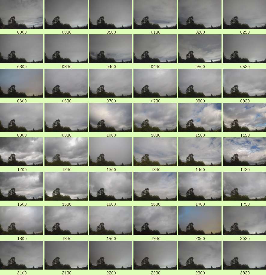 daycamsum