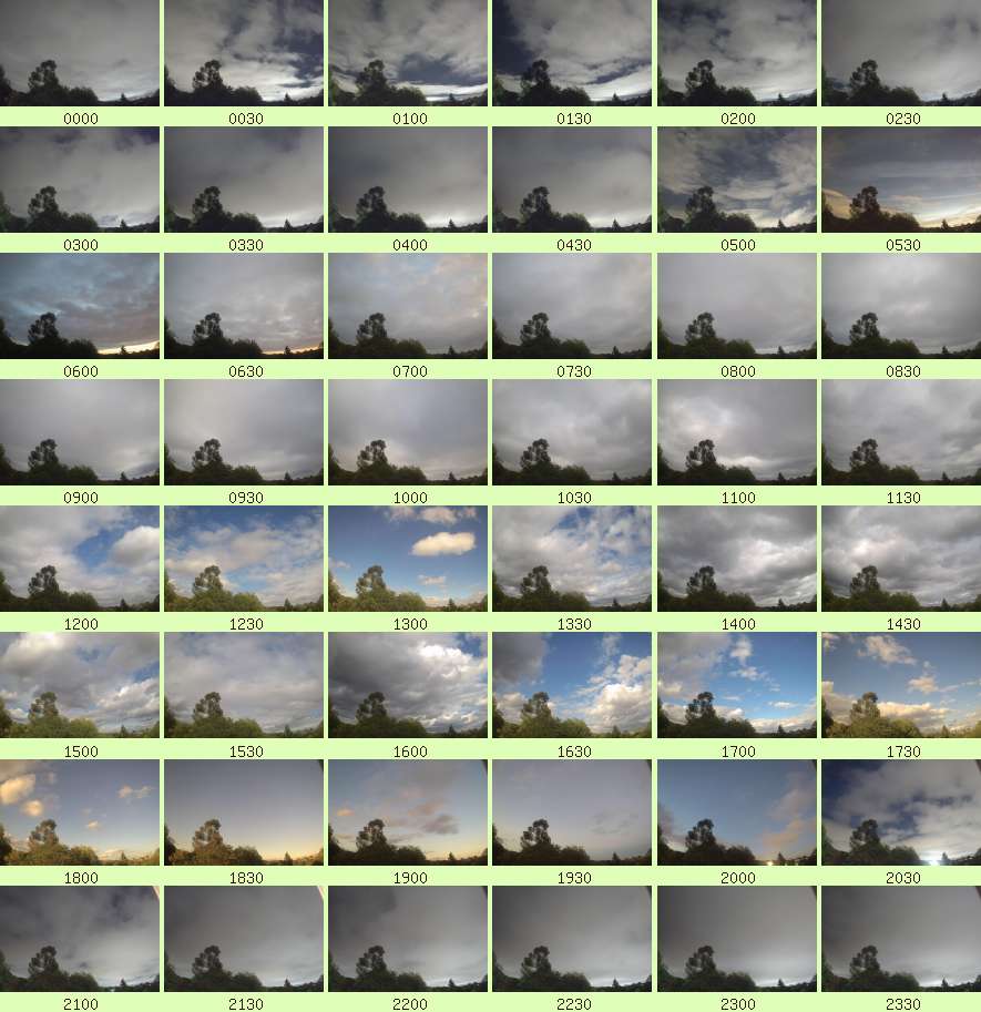 daycamsum