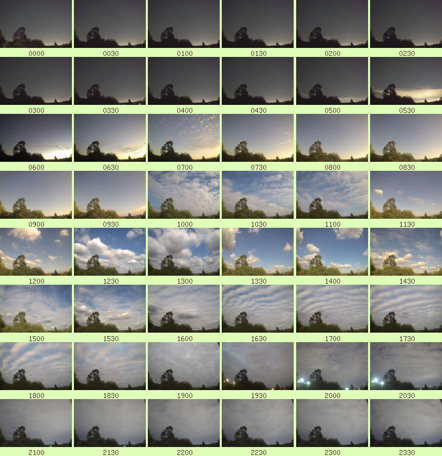 daycamsum