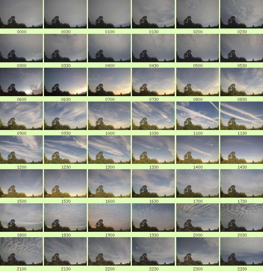 daycamsum
