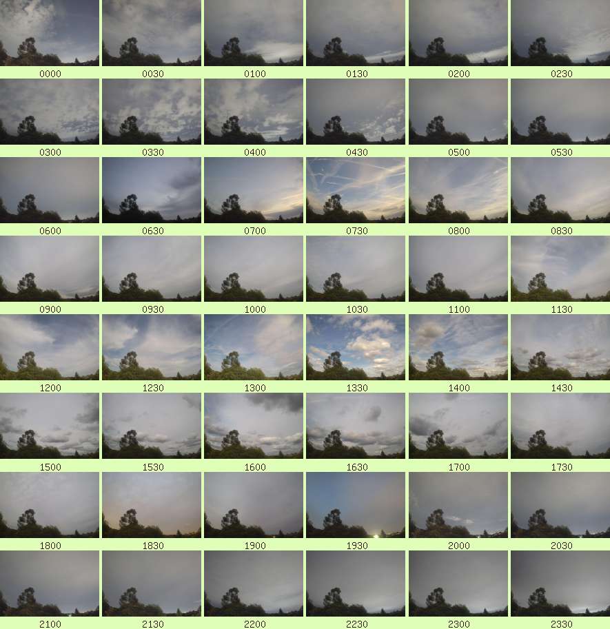 daycamsum