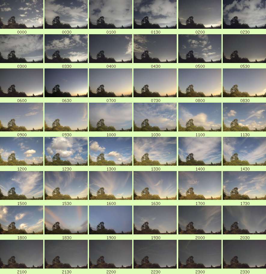 daycamsum