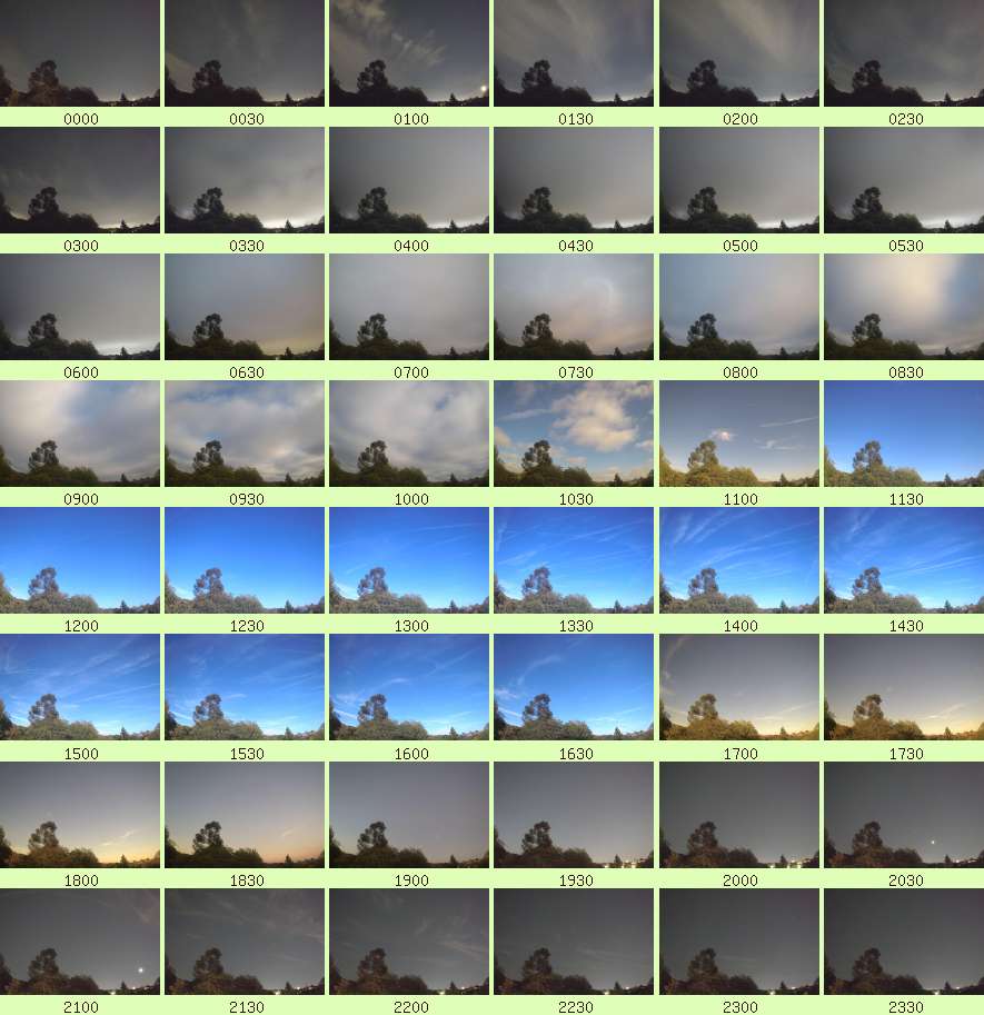 daycamsum