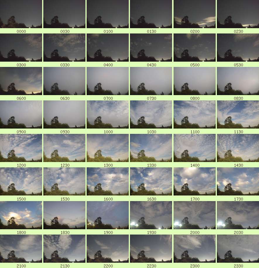 daycamsum