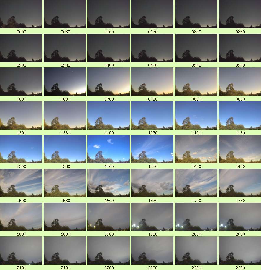 daycamsum