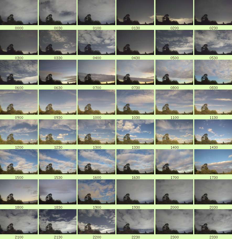 daycamsum