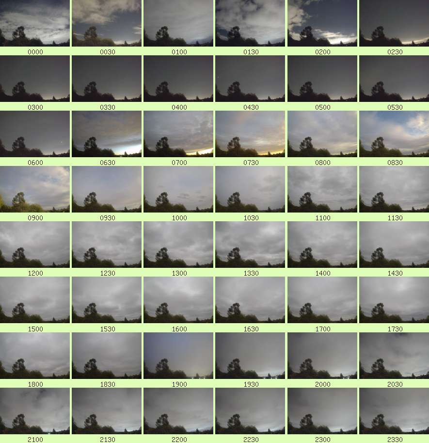daycamsum
