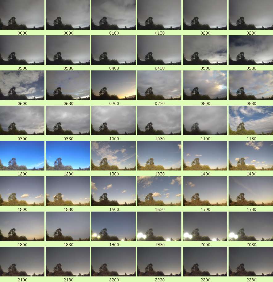 daycamsum