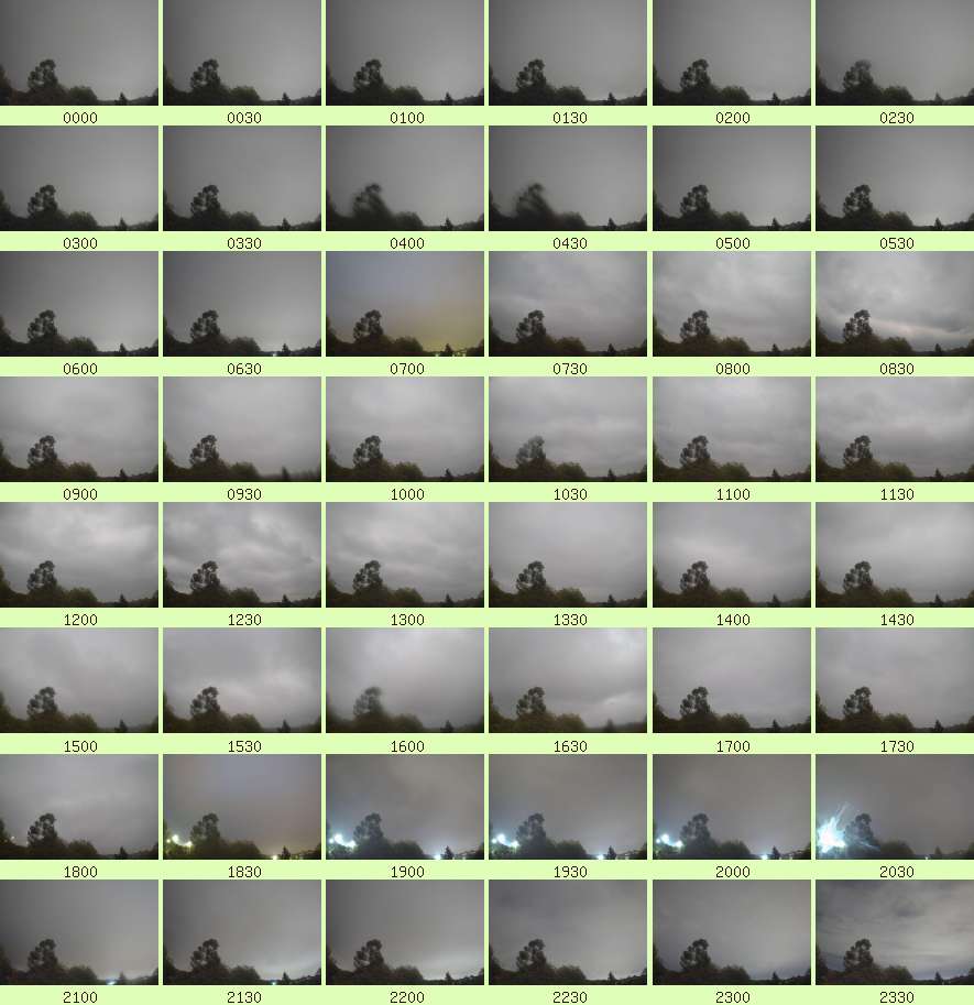 daycamsum
