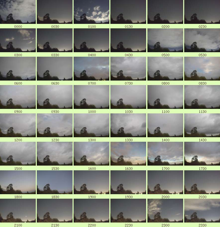 daycamsum