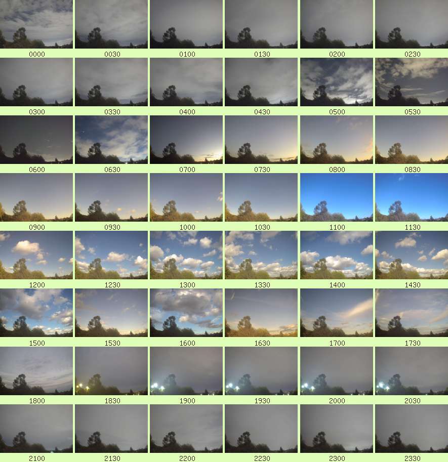 daycamsum