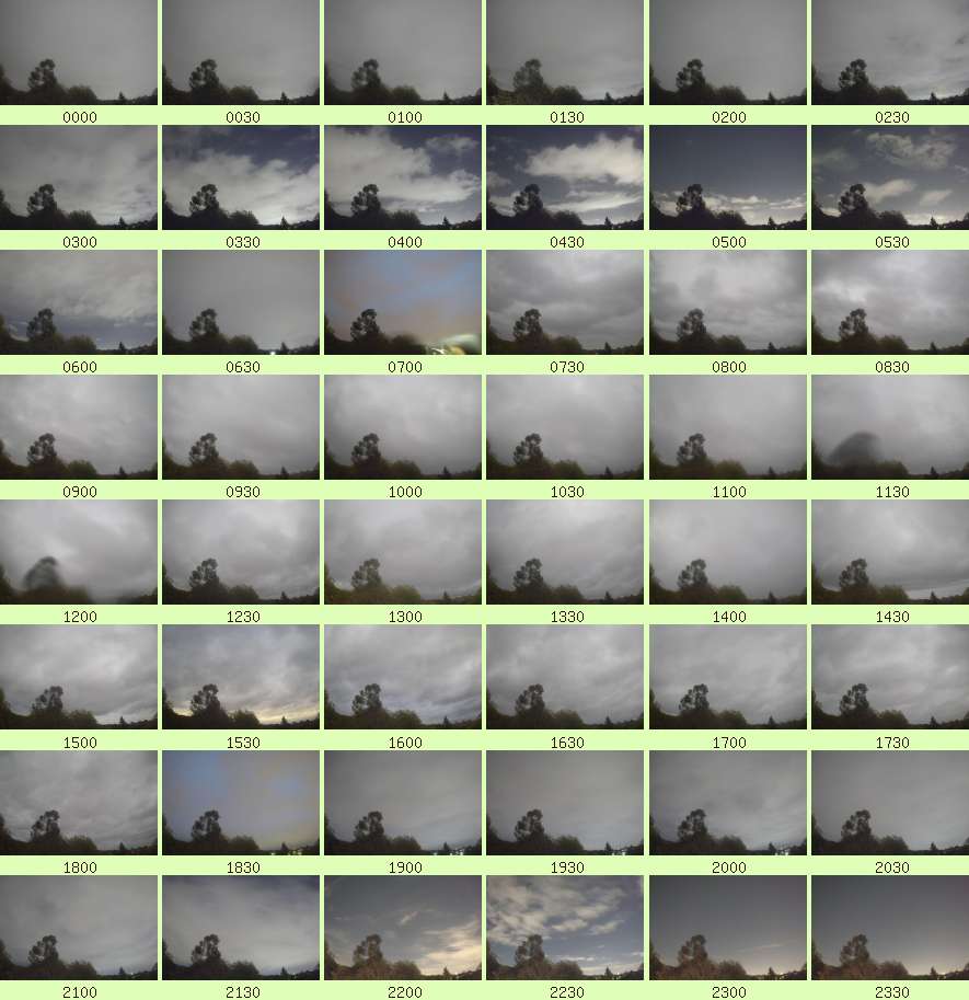 daycamsum