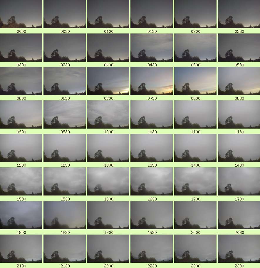 daycamsum