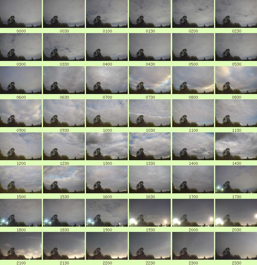 daycamsum